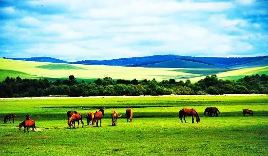 内蒙古草原，历史长河的绿色篇章
